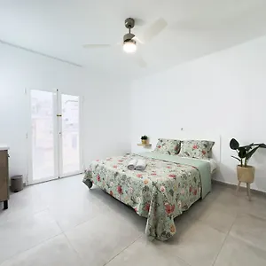 Hostal Cisne San Antonio Abad