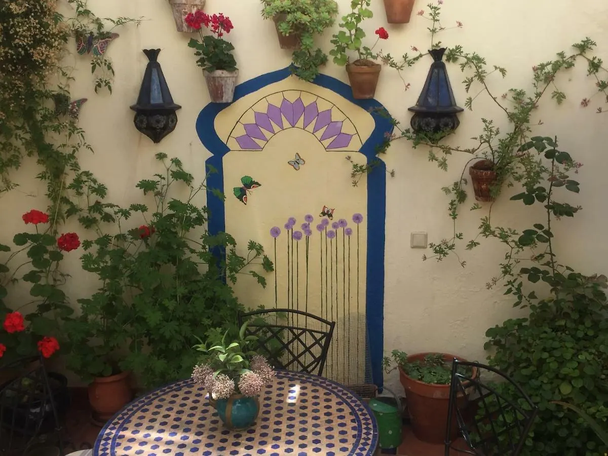 מלון רונדה Baraka Pension